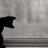 ܓ✿ܓВикуsia♥♥♥